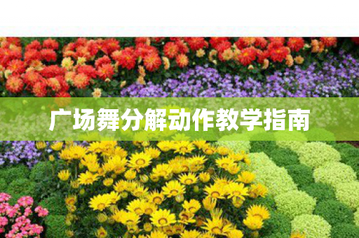 广场舞分解动作教学指南