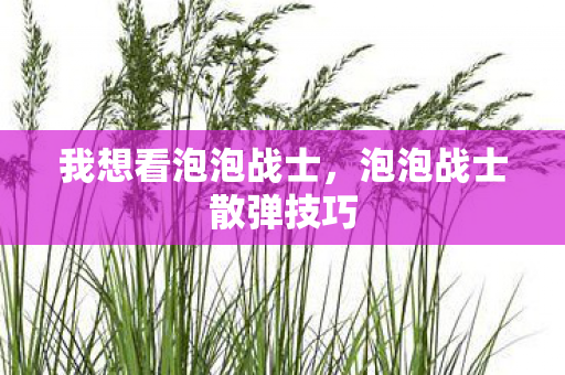 我想看泡泡战士，泡泡战士散弹技巧