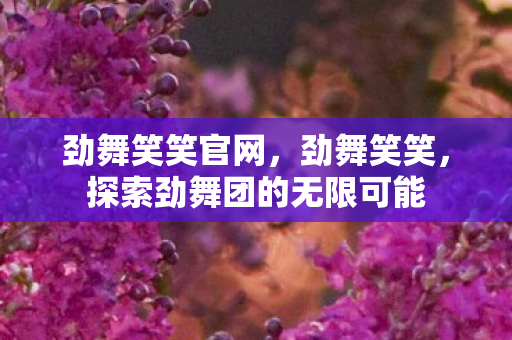 劲舞笑笑官网，劲舞笑笑，探索劲舞团的无限可能