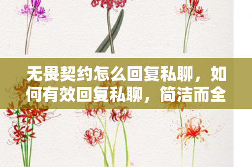 无畏契约怎么回复私聊，如何有效回复私聊，简洁而全面的沟通策略