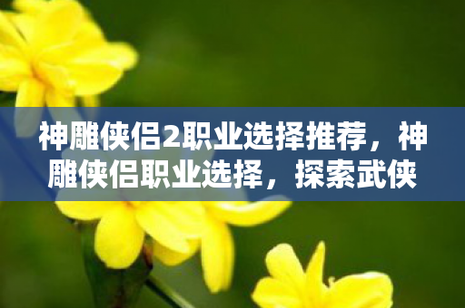神雕侠侣2职业选择推荐，神雕侠侣职业选择，探索武侠世界的多元职业
