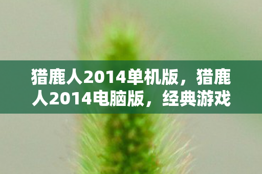 猎鹿人2014单机版，猎鹿人2014电脑版，经典游戏的全新体验