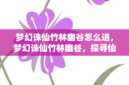 梦幻诛仙竹林幽谷怎么进，梦幻诛仙竹林幽谷，探寻仙境中的神秘之地