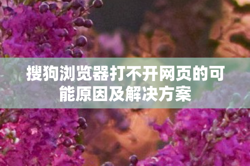 搜狗浏览器打不开网页的可能原因及解决方案