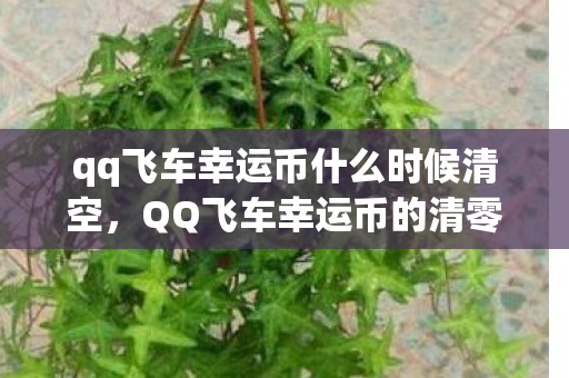 qq飞车幸运币什么时候清空，QQ飞车幸运币的清零规则解析