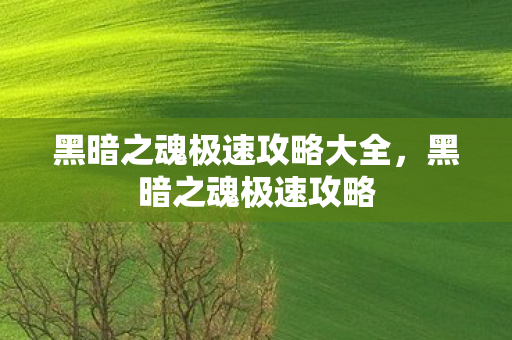 黑暗之魂极速攻略大全，黑暗之魂极速攻略