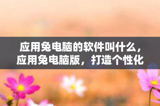 应用兔电脑的软件叫什么，应用兔电脑版，打造个性化电脑体验，尽享高效便捷