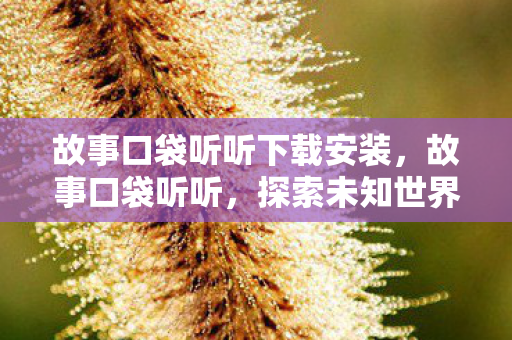 故事口袋听听下载安装，故事口袋听听，探索未知世界的奇妙之旅