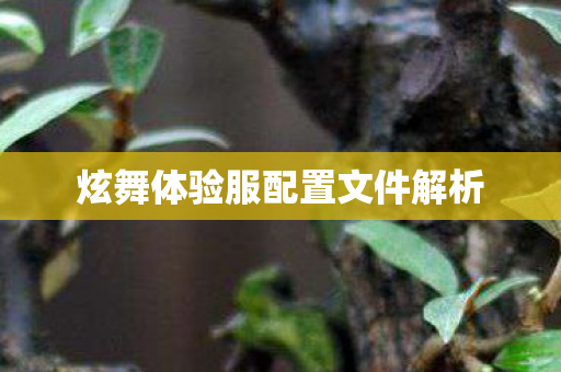 炫舞体验服配置文件解析