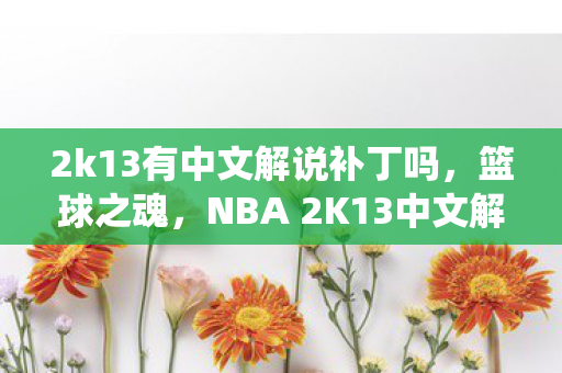 2k13有中文解说补丁吗，篮球之魂，NBA 2K13中文解说补丁的激情演绎