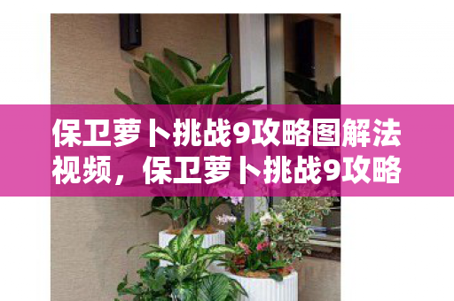 保卫萝卜挑战9攻略图解法视频，保卫萝卜挑战9攻略，打造最强防御阵容