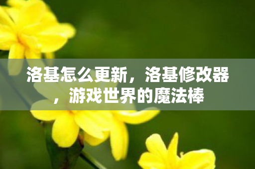 洛基怎么更新，洛基修改器，游戏世界的魔法棒