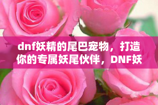 dnf妖精的尾巴宠物，打造你的专属妖尾伙伴，DNF妖的尾巴宠物全解析
