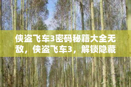 侠盗飞车3密码秘籍大全无敌，侠盗飞车3，解锁隐藏关卡与神秘彩蛋的密码揭秘
