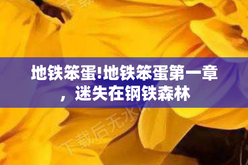 地铁笨蛋!地铁笨蛋第一章，迷失在钢铁森林