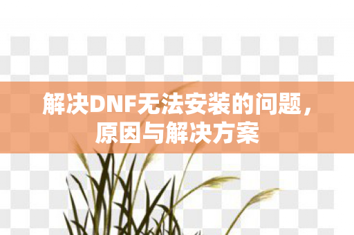 解决DNF无法安装的问题，原因与解决方案