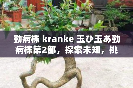 勤病栋 kranke 玉ひ玉あ勤病栋第2部，探索未知，挑战自我