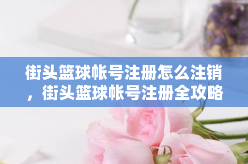 街头篮球帐号注册怎么注销，街头篮球帐号注册全攻略，打造专属游戏身份