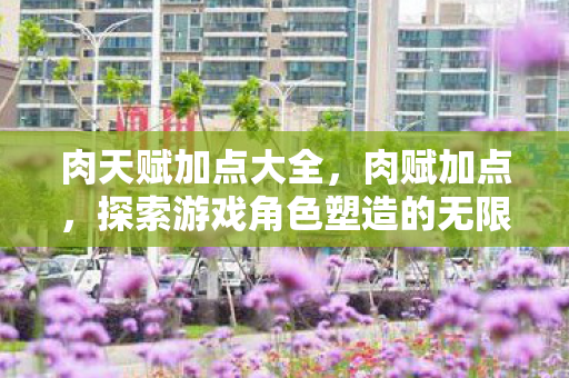 肉天赋加点大全，肉赋加点，探索游戏角色塑造的无限可能