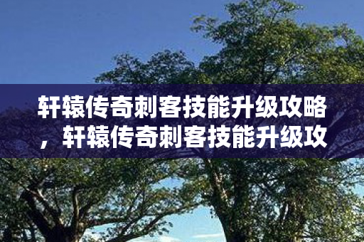 轩辕传奇刺客技能升级攻略，轩辕传奇刺客技能升级攻略，打造顶级刺客的必经之路