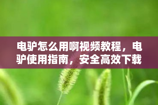 电驴怎么用啊视频教程，电驴使用指南，安全高效下载资源