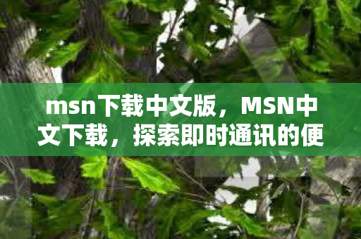 msn下载中文版，MSN中文下载，探索即时通讯的便捷与高效