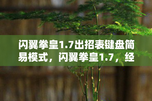 闪翼拳皇1.7出招表键盘简易模式，闪翼拳皇1.7，经典再现，格斗新体验