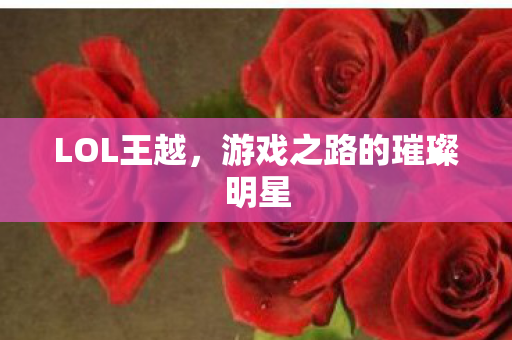 LOL王越,游戏之路的璀璨明星 LOL王越,游戏之路的璀璨明星