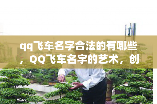 qq飞车名字合法的有哪些，QQ飞车名字的艺术，创意与个性的碰撞