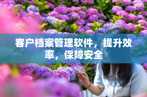 客户档案管理软件，提升效率，保障安全