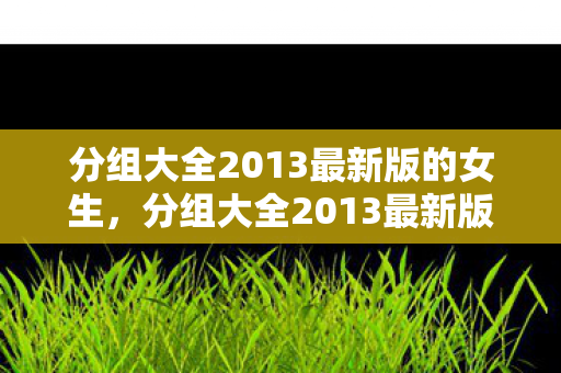 分组大全2013最新版的女生，分组大全2013最新版，解锁高效团队协作的密钥