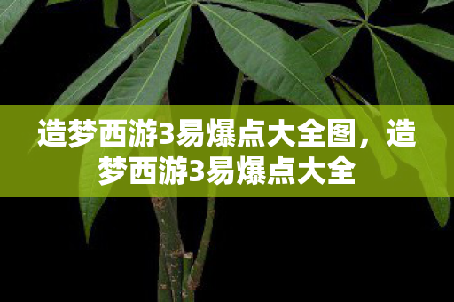 造梦西游3易爆点大全图，造梦西游3易爆点大全