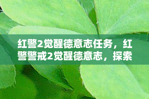 红警2觉醒德意志任务，红警警戒2觉醒德意志，探索游戏背后的深度与魅力