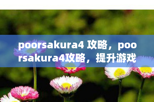 poorsakura4 攻略，poorsakura4攻略，提升游戏效率与战斗力的全面指南