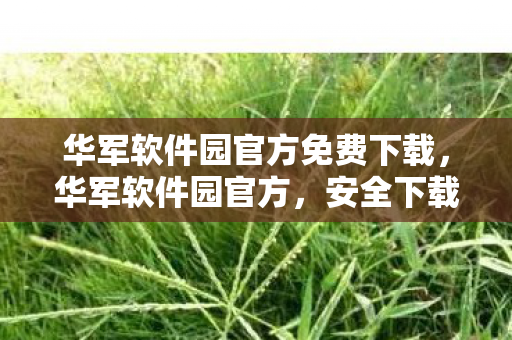华军软件园官方免费下载，华军软件园官方，安全下载，远离私服风险