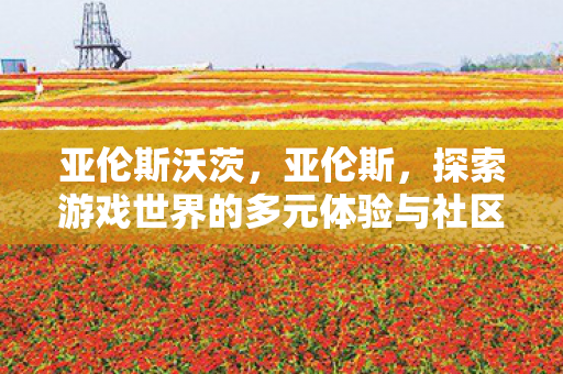 亚伦斯沃茨，亚伦斯，探索游戏世界的多元体验与社区互动