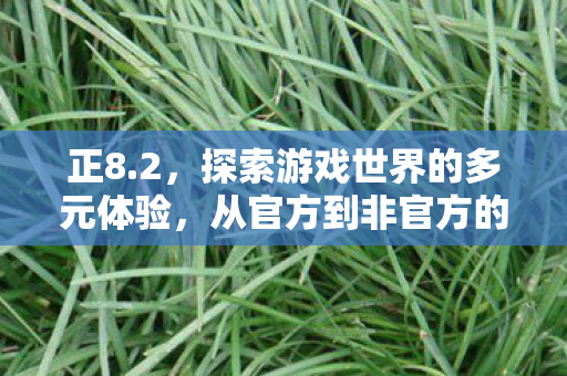 正8.2，探索游戏世界的多元体验，从官方到非官方的奇妙旅程