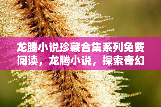 龙腾小说珍藏合集系列免费阅读，龙腾小说，探索奇幻世界的文学之旅