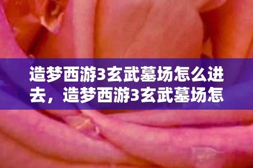 造梦西游3玄武墓场怎么进去，造梦西游3玄武墓场怎么进