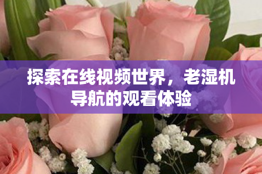 探索在线视频世界,老湿机导航的观看体验 探索在线视频世界,老湿机导航的观看体验