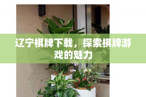 辽宁棋牌下载，探索棋牌游戏的魅力