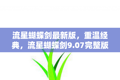 流星蝴蝶剑最新版，重温经典，流星蝴蝶剑9.07完整版全面解析