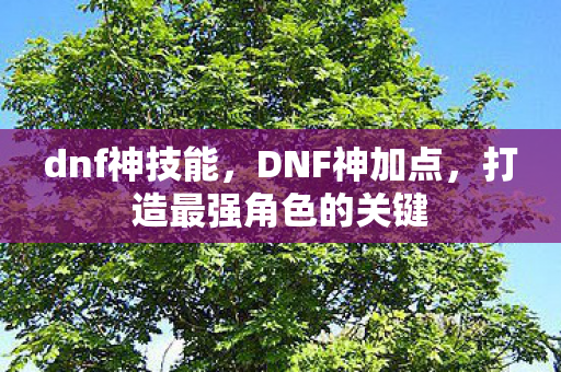 dnf神技能，DNF神加点，打造最强角色的关键