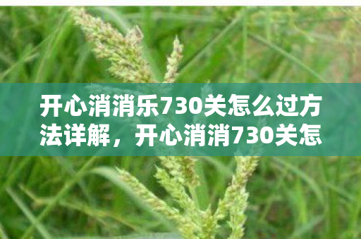开心消消乐730关怎么过方法详解，开心消消730关怎么过