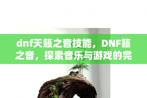 dnf天籁之音技能，DNF籁之音，探索音乐与游戏的完美融合