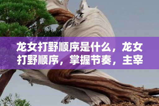 龙女打野顺序是什么，龙女打野顺序，掌握节奏，主宰战场