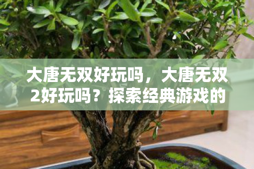 大唐无双好玩吗，大唐无双2好玩吗？探索经典游戏的魅力