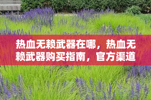 热血无赖武器在哪，热血无赖武器购买指南，官方渠道与实用建议