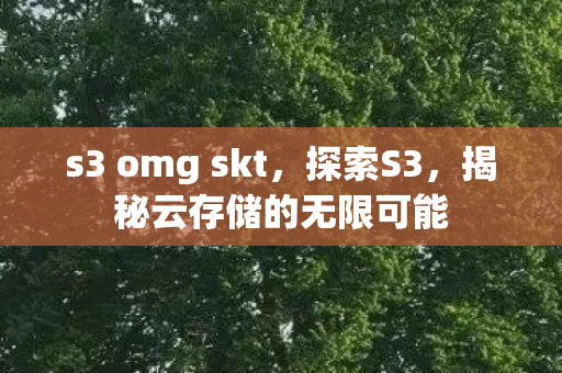 s3 omg skt，探索S3，揭秘云存储的无限可能