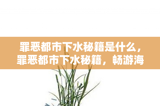 罪恶都市下水秘籍是什么，罪恶都市下水秘籍，畅游海底的隐秘技巧